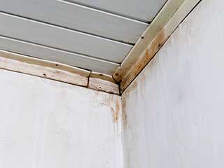 Top Three Benefits of Regular Roof Cleaning | Drywall Repair & Remodeling Agoura Hills, CA The Top Three Benefits of Regular Roof Cleaning